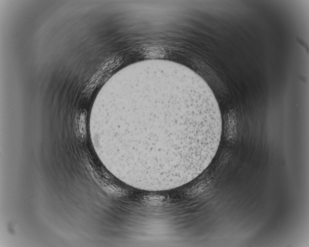 X0000103940598200810311527