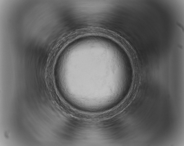 X0000103940599200810311527