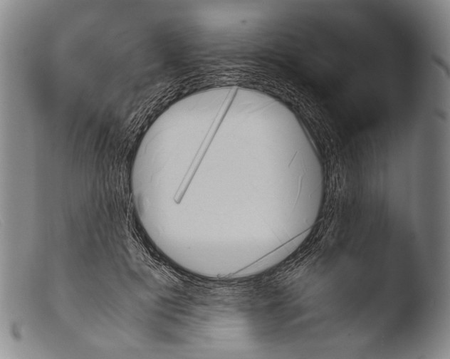 X0000103940601200810311527