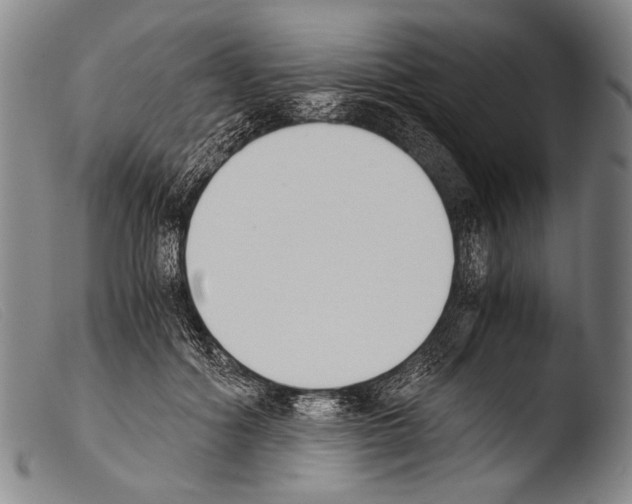 X0000103940602200810311527