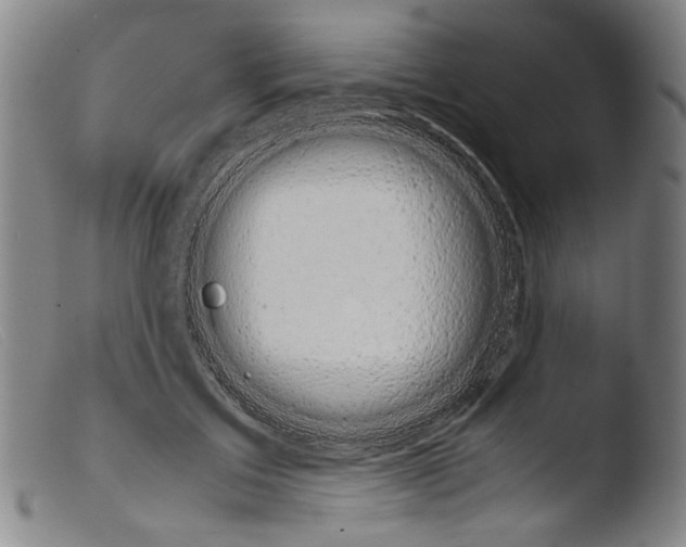 X0000103940603200810311527