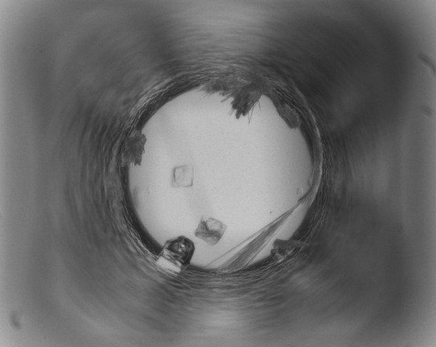 X0000103940605200810311527