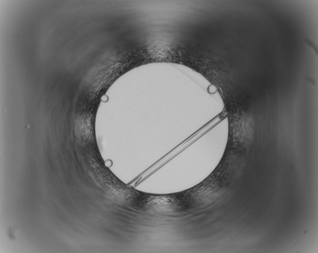 X0000103940611200810311527