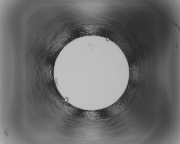 X0000103940615200810311527