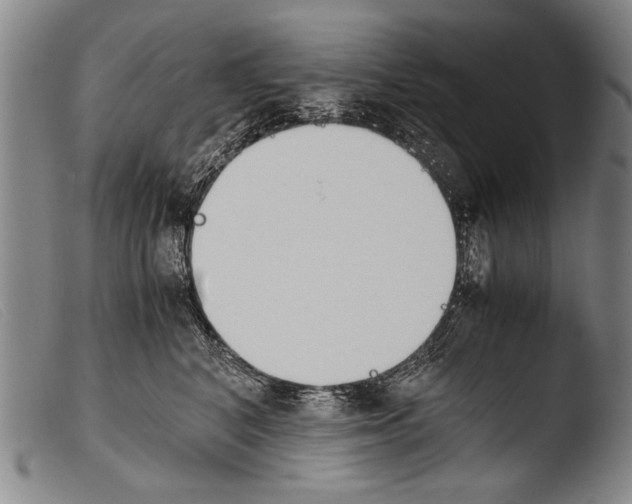 X0000103940616200810311527