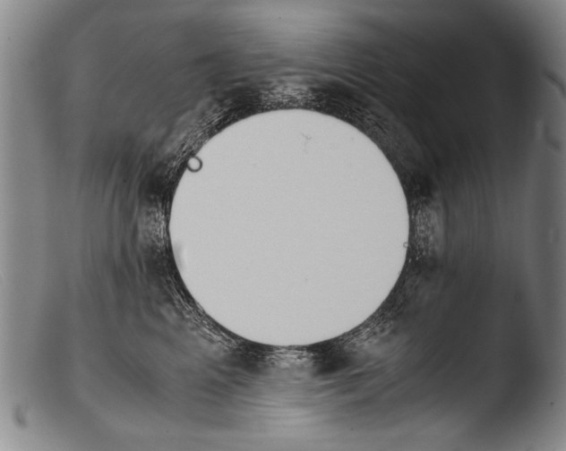 X0000103940617200810311527