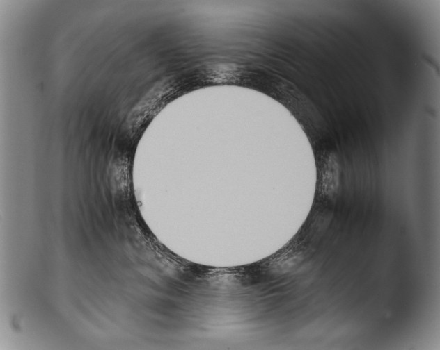 X0000103940620200810311527