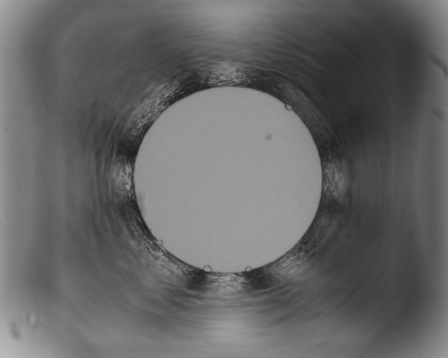 X0000103940621200810311527