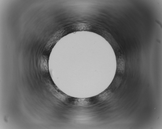 X0000103940622200810311527