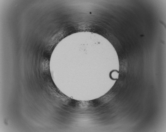 X0000103940623200810311527