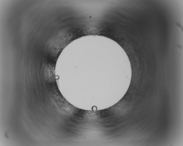 X0000103940624200810311527