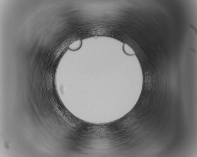 X0000103940626200810311526