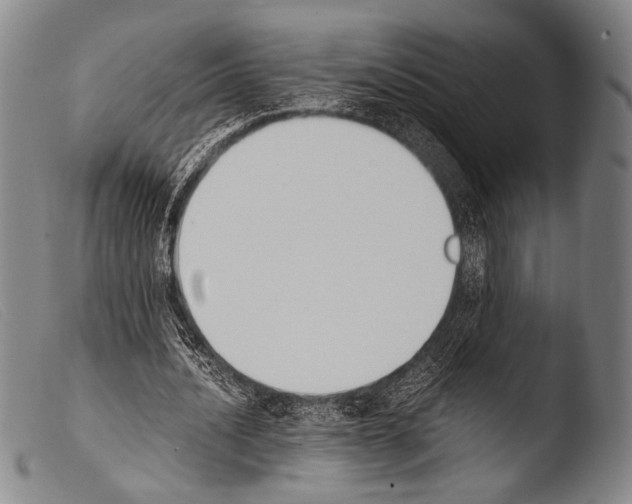 X0000103940628200810311526