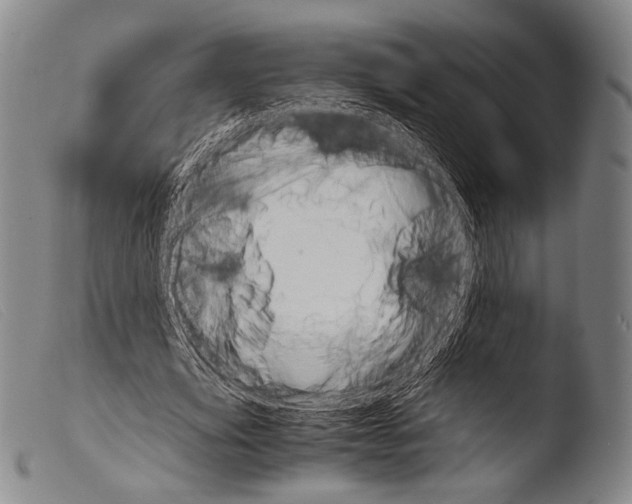 X0000103940629200810311526