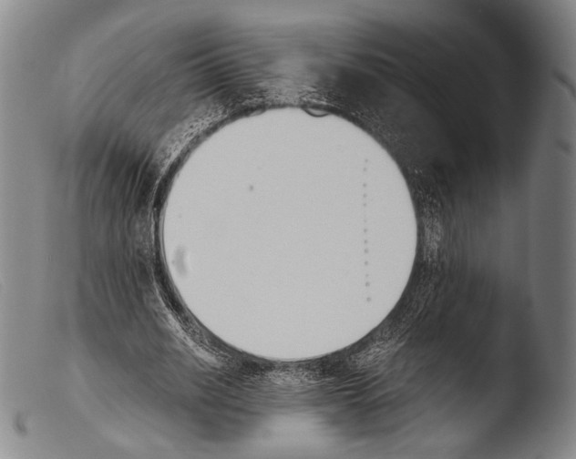 X0000103940630200810311526