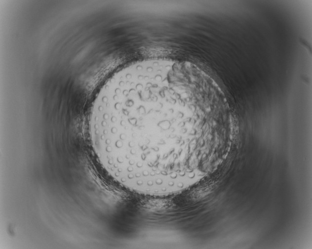 X0000103940631200810311526