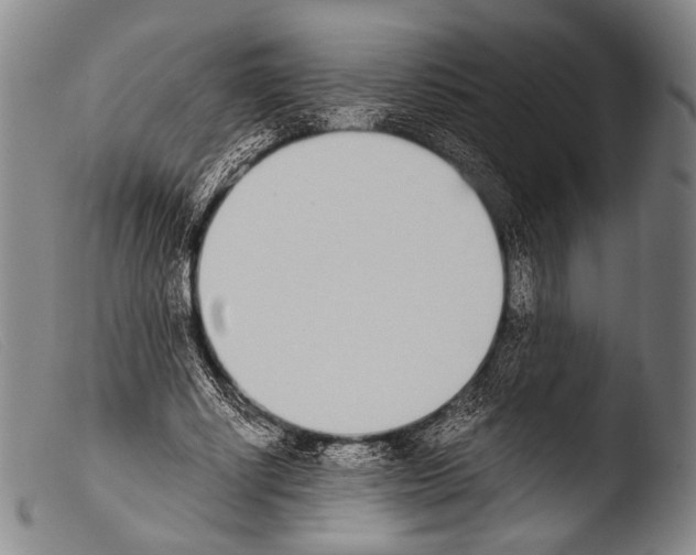 X0000103940634200810311526