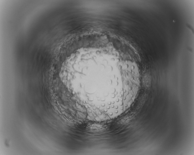 X0000103940635200810311526