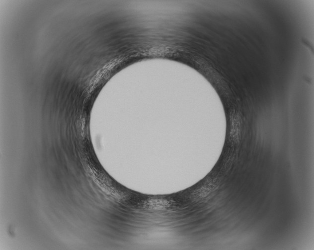 X0000103940636200810311526