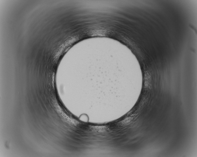 X0000103940637200810311526