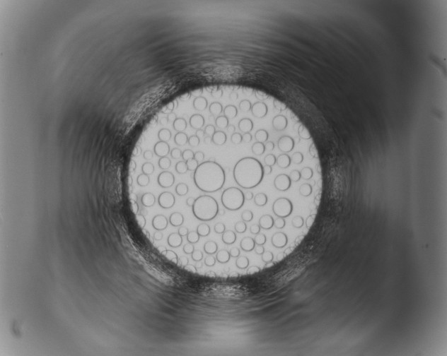 X0000103940638200810311526