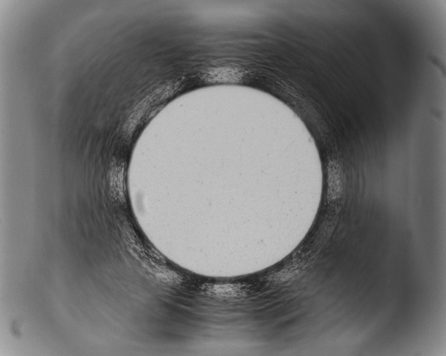 X0000103940641200810311526