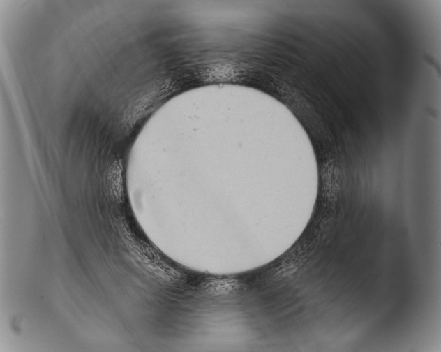 X0000103940642200810311526