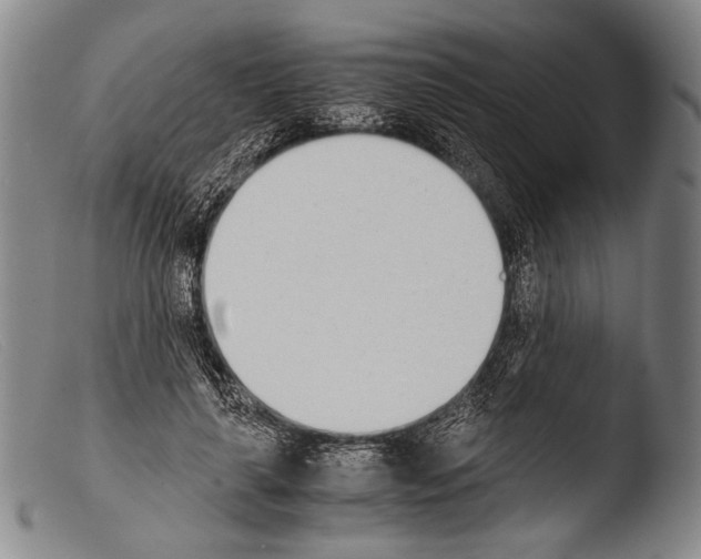 X0000103940643200810311526