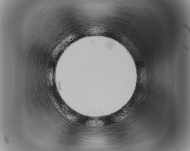 X0000103940644200810311526