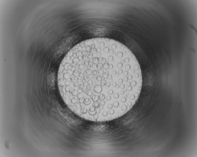 X0000103940646200810311526