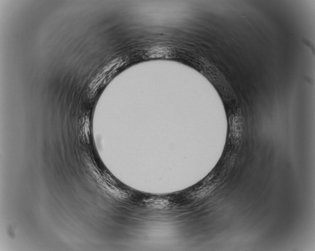 X0000103940648200810311526