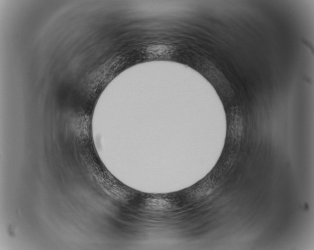 X0000103940649200810311526