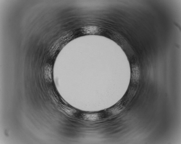 X0000103940653200810311526