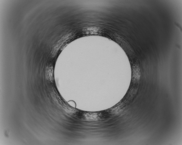 X0000103940661200810311527