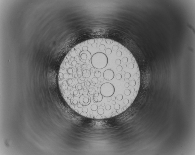 X0000103940662200810311527