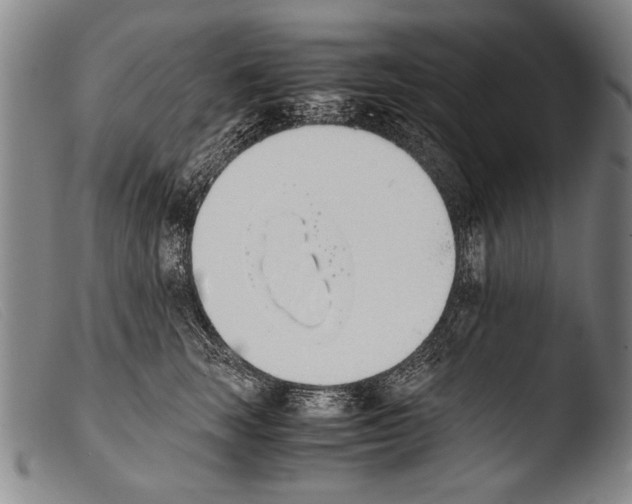 X0000103940663200810311527