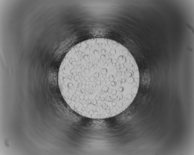 X0000103940666200810311527