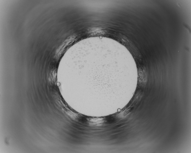 X0000103940669200810311527