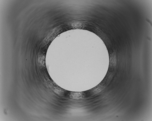 X0000103940671200810311527