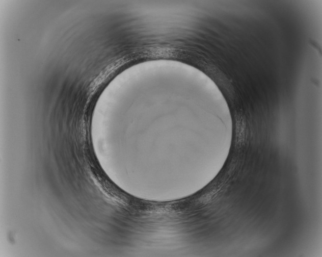 X0000103940674200810311526