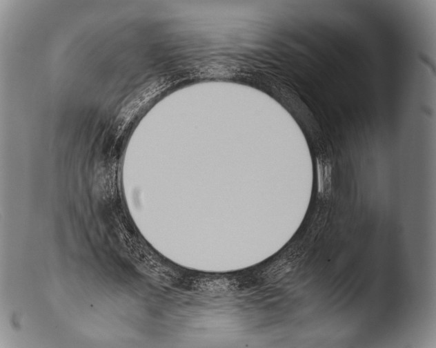 X0000103940675200810311526