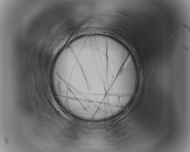 X0000103940677200810311526