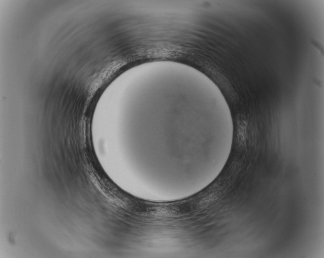 X0000103940678200810311526