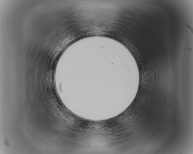 X0000103940679200810311526