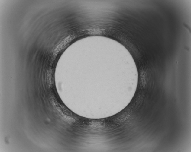 X0000103940682200810311526