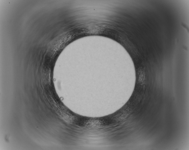 X0000103940685200810311526