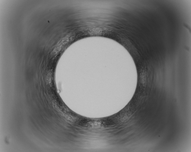 X0000103940687200810311526