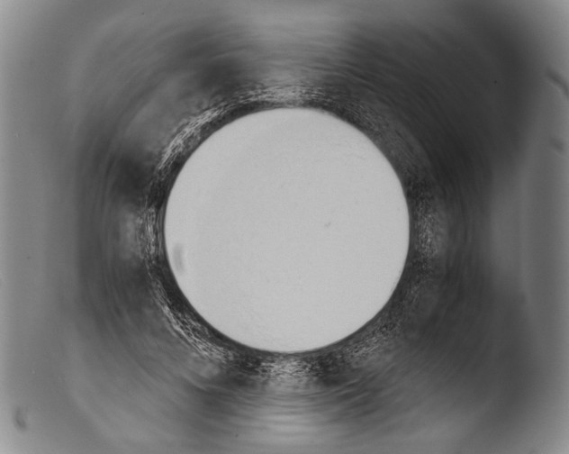 X0000103940688200810311526