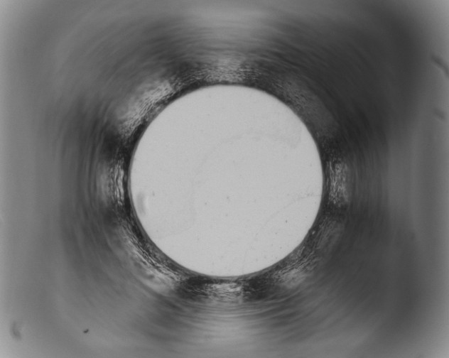 X0000103940692200810311526