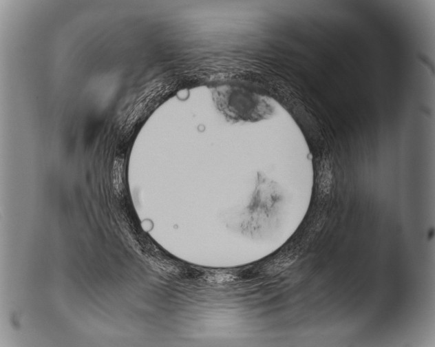 X0000103940695200810311526